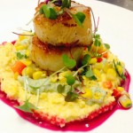 Scallops