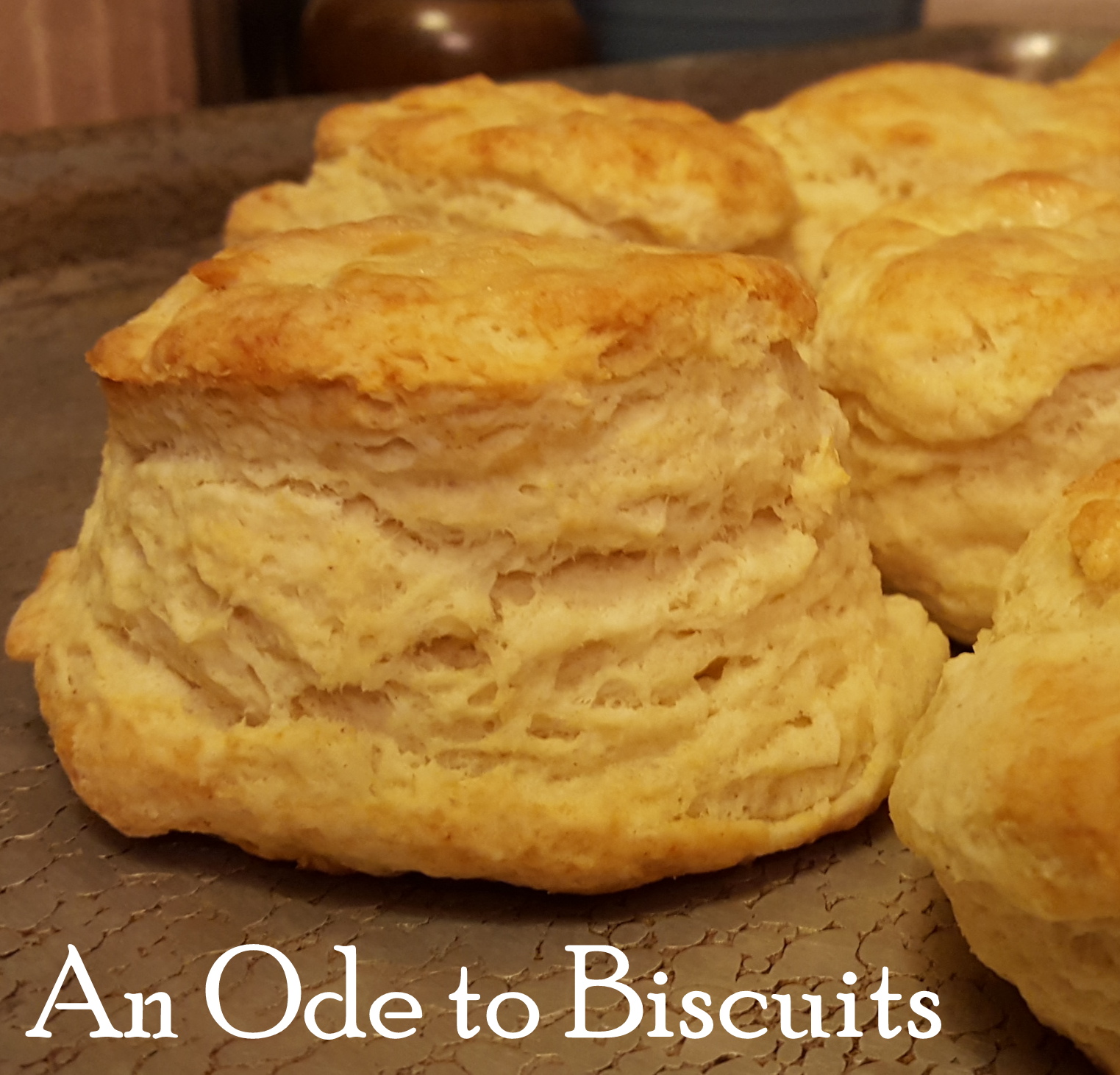 i8tonite: An Ode To Biscuits (with recipe!)