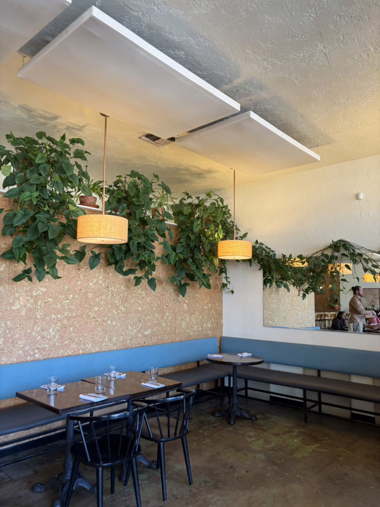 Inside Tito & Pep with the philodendron. 